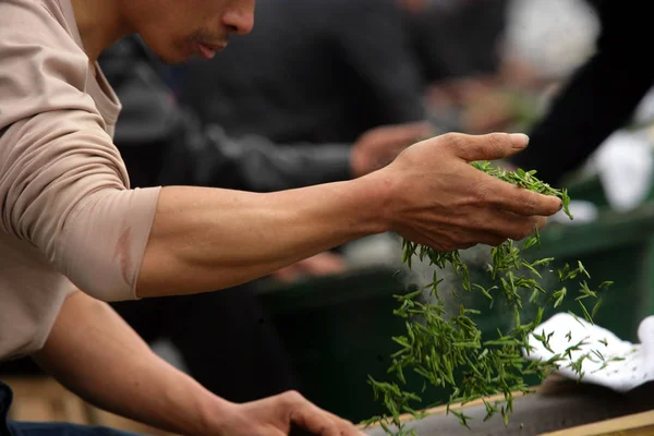 Китайские Рабочие Сухие Лунцзин Dragon Well Чай Листья Время Конкурса — стоковое фото
