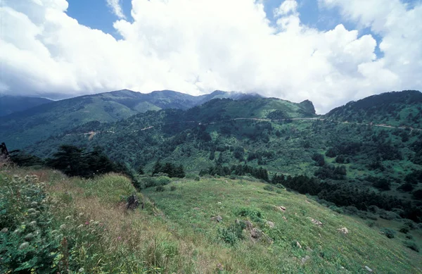 Paisagem Shennong Ding Área Cênica Shennongjia Centro Província Chinas Hubei — Fotografia de Stock