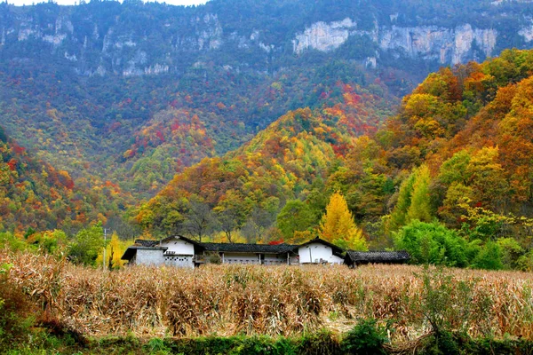 Krajobraz Shennongjia Jesienią Centralnej Prowincji Chinas Hubei Października 2009 — Zdjęcie stockowe