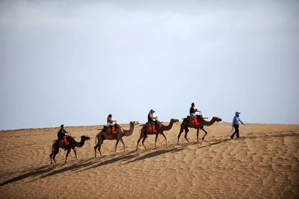 Los Turistas Montan Camellos Una Línea Las Dunas Singing Sand — Foto de Stock