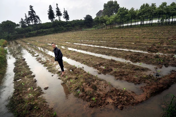 Ein Chinesischer Landwirt Überprüft Seine Durch Schwere Regenfälle Überfluteten Höfe — Stockfoto