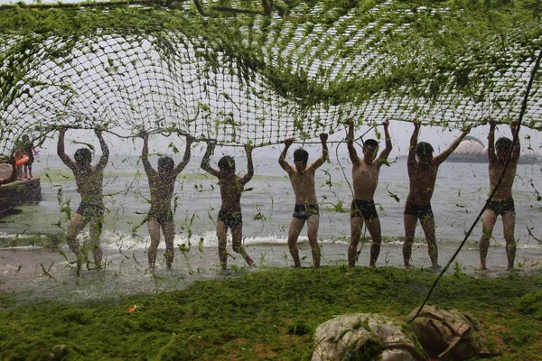 Fiatal Férfiak Rázza Zöld Alga Net Egy Tengerparti Üdülőhely Qingdao — Stock Fotó