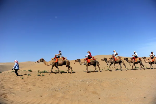 Toeristen Rijden Kamelen Een Lijn Zingende Duinen Dunhuang Stad Noordwest — Stockfoto
