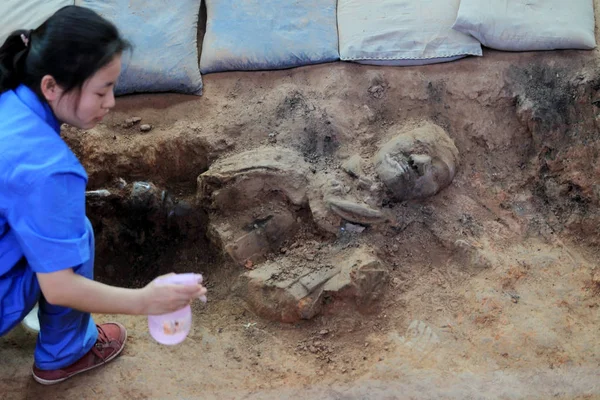 Китайський Археолог Розкопки Теракотова Воїн Яму Музеї Терра Котта Воїнів — стокове фото