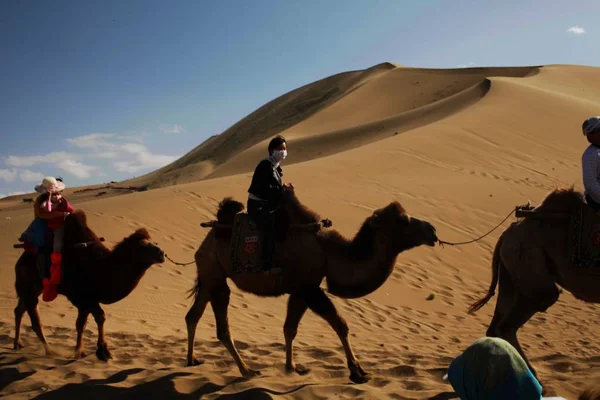 Los Turistas Montan Camellos Desierto Lago Crescent Moon Yueyaquan Lugar — Foto de Stock