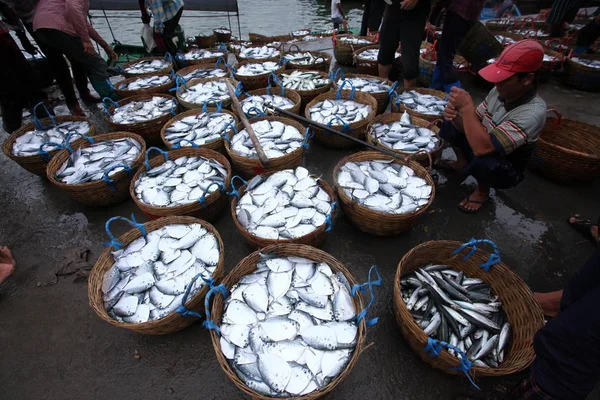 Rybáři Přenášejí Koše Ryb Břeh Qionghai Provincii Chinas Hainan Května — Stock fotografie