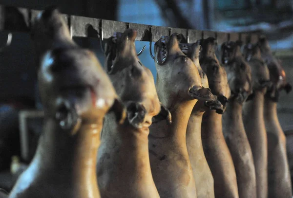 Σκυλιά Σκότωσαν Και Καταναλωθεί Είστε Γαντζώθηκε Μια Ελεύθερη Αγορά Στην — Φωτογραφία Αρχείου