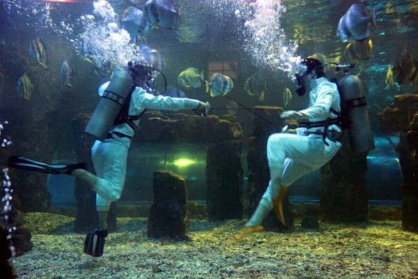 Két Divers Öltözve Kerítés Jelmez Végre Víz Víz Alatti Taizhou — Stock Fotó