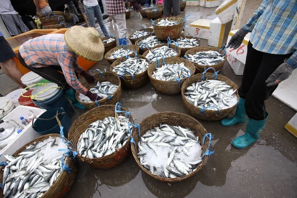 Pescadores Carregam Cestas Peixes Terra Qionghai Sul Província Chinas Hainan — Fotografia de Stock