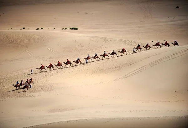 Les Touristes Montent Des Chameaux Ligne Sur Les Dunes Singing — Photo