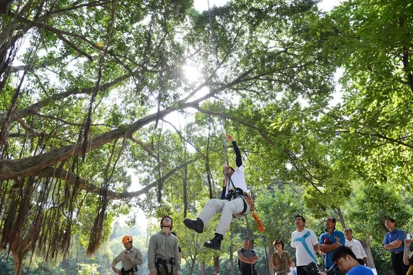 Chinese Teacher Top Climbs Tree Show How Students Tree Climbing — Stock Photo, Image