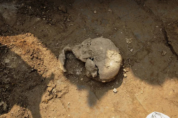 Los Trabajadores Excavan Una Antigua Tumba Dinastía Han Oriental 25C220 — Foto de Stock