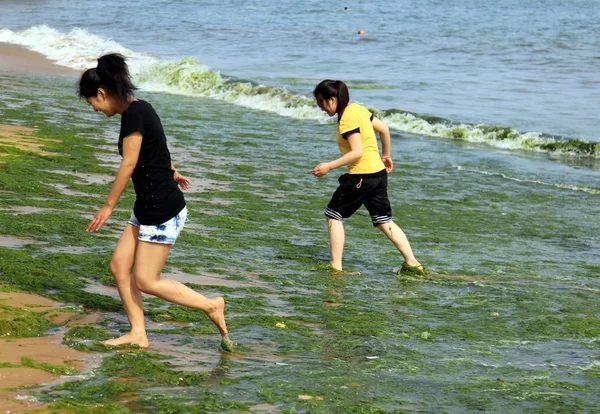 Flickor Spelar Vattnet Strand Som Täcks Gröna Alger Qingdao Stad — Stockfoto