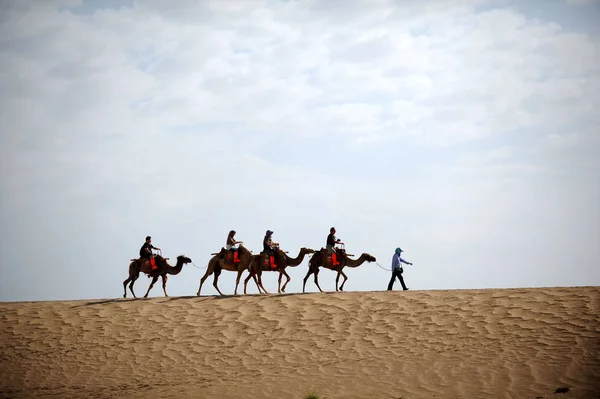 Туристы Ездят Верхом Верблюдах Песчано Песчаным Дюнам Городе Дуньхуань Северо — стоковое фото