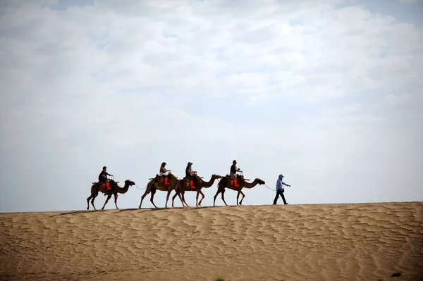 Turisti Cavalcano Cammelli Linea Sulle Dune Sabbia Canto Nella Città — Foto Stock