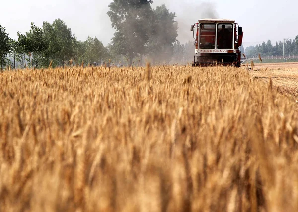中国の農家は 2012年5月26日 中国中部河南省 平寧山市のBaofeng郡の畑で小麦を収穫する収穫機を運転する — ストック写真