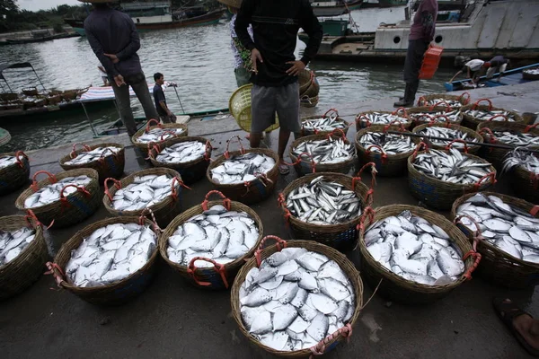 Los Pescadores Llevan Cestas Pescado Tierra Qionghai Provincia Chinas Hainan — Foto de Stock