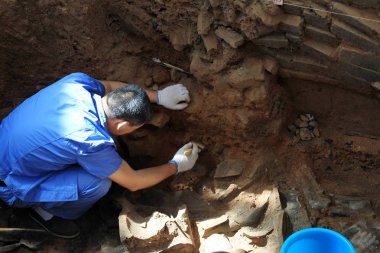 A Chinese archaeologist excavates in the No.1 Pit at the Museum of the Terra-cotta Warriors and Horses of Qin Shihuang in Xian city, northwest Chinas Shaanxi province, 9 June 2012 clipart