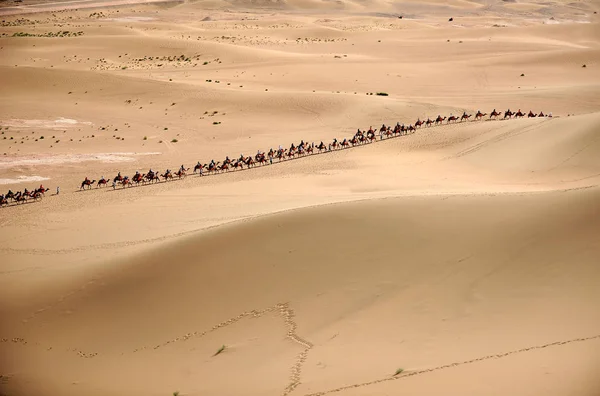 Turisti Cavalcano Cammelli Linea Sulle Dune Sabbia Canto Nella Città — Foto Stock