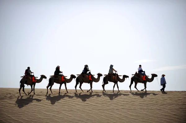 Los Turistas Montan Camellos Una Línea Las Dunas Singing Sand — Foto de Stock