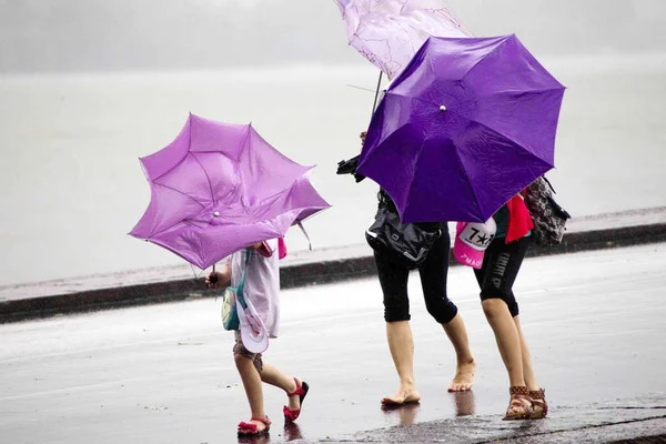 Turistas Valientes Fuertes Vientos Fuertes Lluvias Causadas Por Tifón Haikui — Foto de Stock