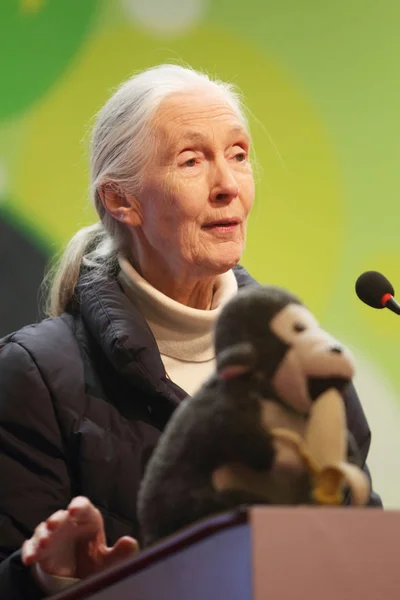 Dra Jane Goodall Primatóloga Etóloga Antropóloga Mensajera Paz Onu Pronuncia —  Fotos de Stock