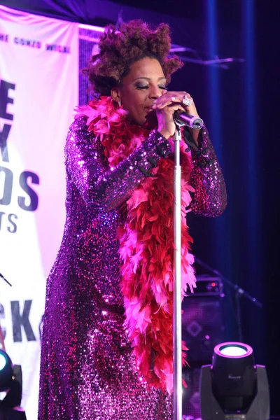 Cantora Norte Americana Macy Gray Apresenta Durante Seu Concerto Hong — Fotografia de Stock