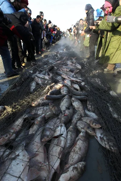 Halat Fogták Során Téli Halászat Vadászati Fesztivál Qianguoerluosi Mongol Autonóm — Stock Fotó