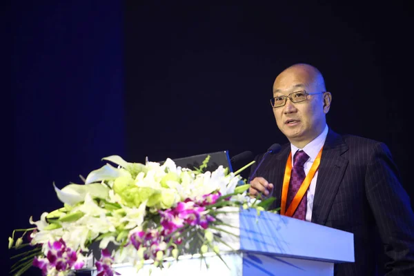万通控股有限公司董事长冯伦在2012年12月8日于中国北京举行的第十一届中国企业家峰会上致辞 — 图库照片