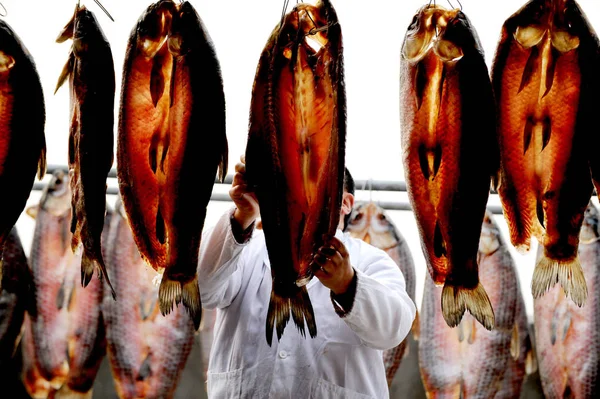 Kinesiska Arbetare Hänga Upp Skörd Fisk Stolpar För Att Torka — Stockfoto