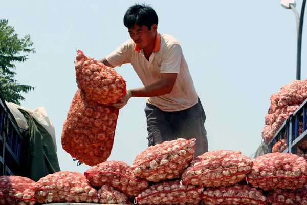 Vendedor Chino Sube Camión Con Bolsas Ajo Mercado Mayorista Productos —  Fotos de Stock