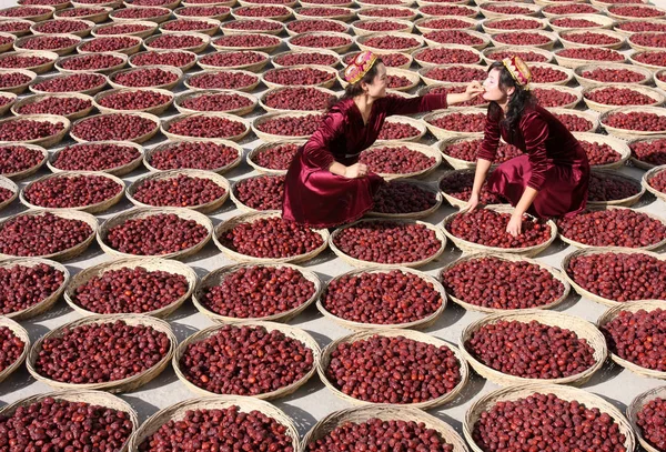 Giovani Donne Uigure Cinesi Frutta Secca Giuggiola Chiamato Anche Date — Foto Stock