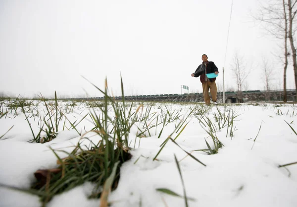 Ein Chinesischer Bauer Streut Chemischen Dünger Seine Schneebedeckten Weizenfelder Dorf — Stockfoto