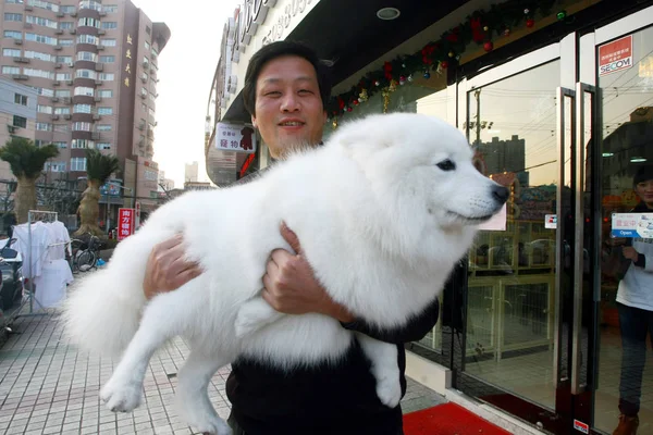 Hombre Chino Sostiene Perro Fuera Salón Belleza Mascotas Shanghai China —  Fotos de Stock