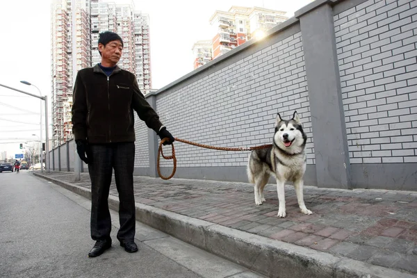 Китаец Выгуливает Свою Собаку Улице Шанхае Китай Февраля 2011 — стоковое фото