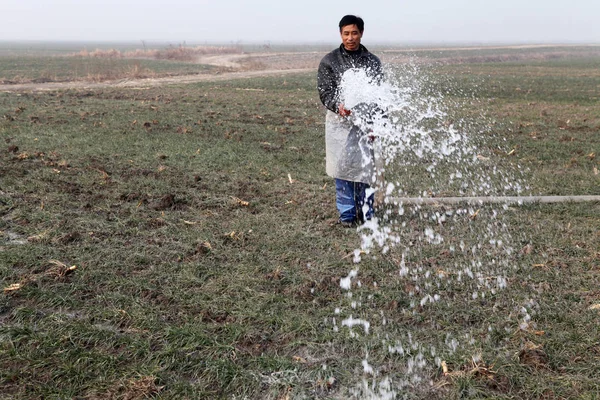 Китайський Фермер Іритує Його Пшеничними Полями Під Час Посухи Caiqiao — стокове фото