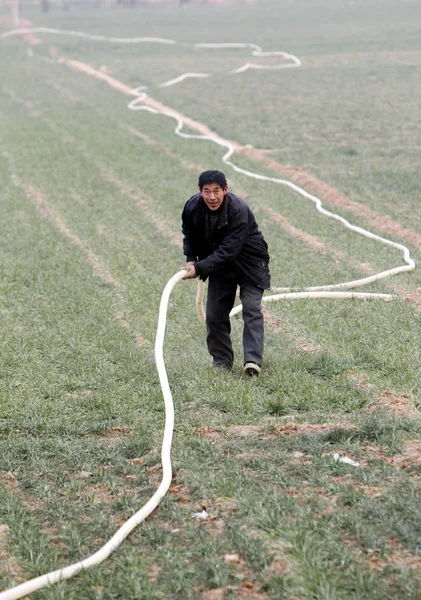 Китайський Фермер Готує Водяні Шланги Зрошення Його Пшеничних Полях Під — стокове фото