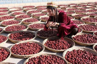 A young Chinese Uighur woman dries jujube fruits, also called Chinese dates, at a jujube processing factory in Zepu county, Kashgar, northwest Chinas Xinjiang Uygur Autonomous Region, 21 October 2010 clipart