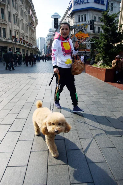 Una Mujer China Pasea Perro Mascota Calle Comercial Nanjing Road —  Fotos de Stock