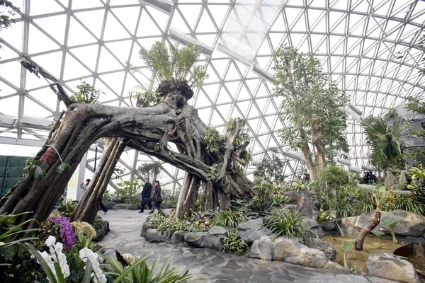 Visitors Enjoy Vast Greenery Chenshan Botanical Garden Shanghai China January — Stock Photo, Image