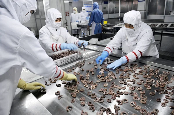 Lavoratori Trasformano Polpo Congelato Essere Esportati Giappone Presso Fabbrica Shandong — Foto Stock