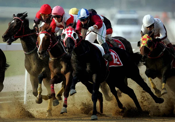 ファイル ジョッキーが中国湖北省中央区のオリエント ラッキー シティ国際競馬場で競馬でレースに参戦 10月31日2010 — ストック写真