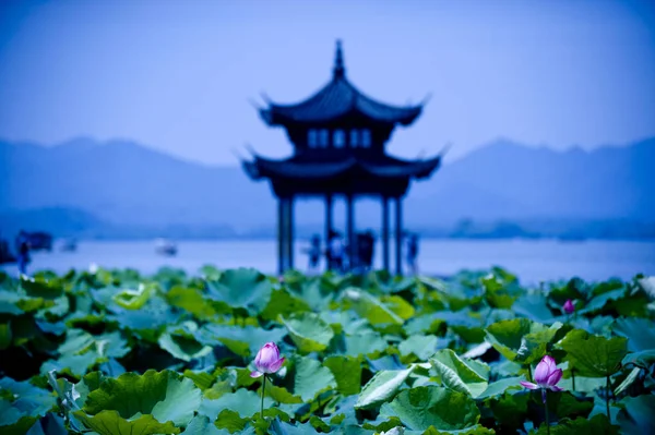 Weergave Van Lotusbloemen West Lake Hangzhou City East Chinas Zhejiang — Stockfoto