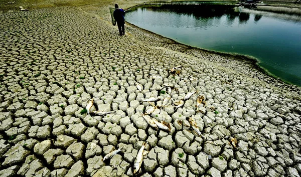 2011년 구이저우성 남서부 주니시 주니시 주니시 아옥시 마을에서 가뭄이 발생했을 — 스톡 사진