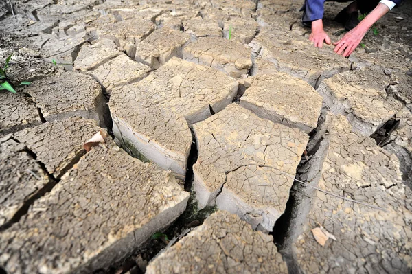 Agricultor Revisa Campo Seco Debido Sequía Ciudad Yangzhou Este Provincia — Foto de Stock