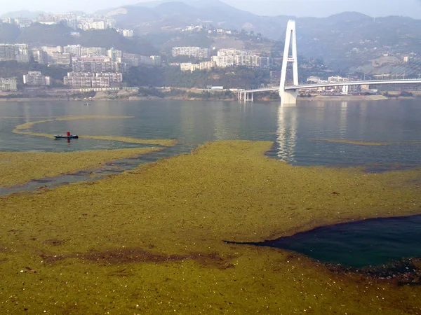 2009年11月8日 中国重庆市奉节县三峡水库的污染物漂浮在长江上 — 图库照片