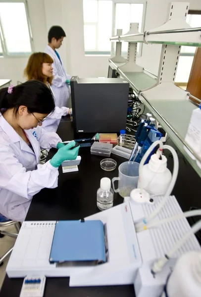 Equipe Chinesa Vista Trabalhando Laboratório Biomedicina Foshan Sul Província Chinas — Fotografia de Stock