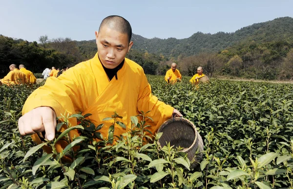 Los Monjes Chinos Academia Budista Hangzhou Eligen Zen Fajing Jardín — Foto de Stock