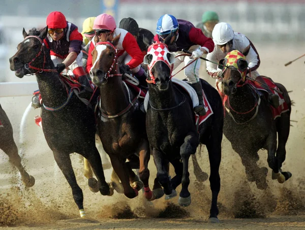 File Jockeys Compiten Una Carrera Caballos Hipódromo Internacional Orient Lucky — Foto de Stock