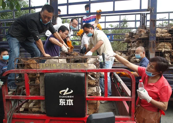 Activistas Animales Llevan Jaulas Para Perros Una Furgoneta Chengdu Suroeste — Foto de Stock